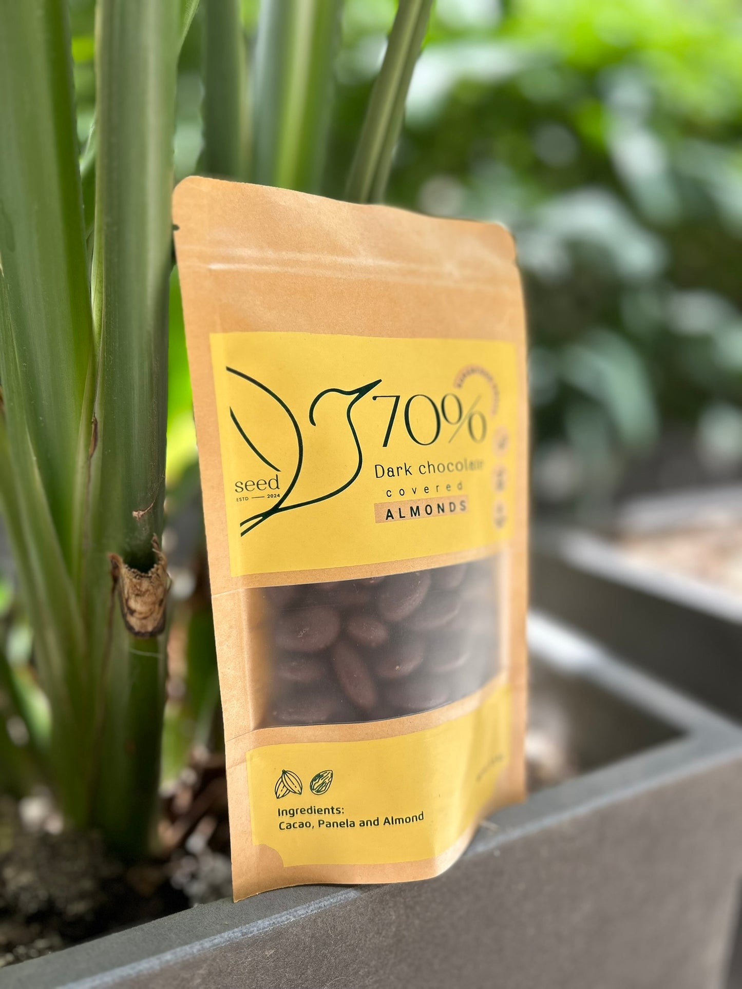 Almendras cubiertas con cacao al 70%