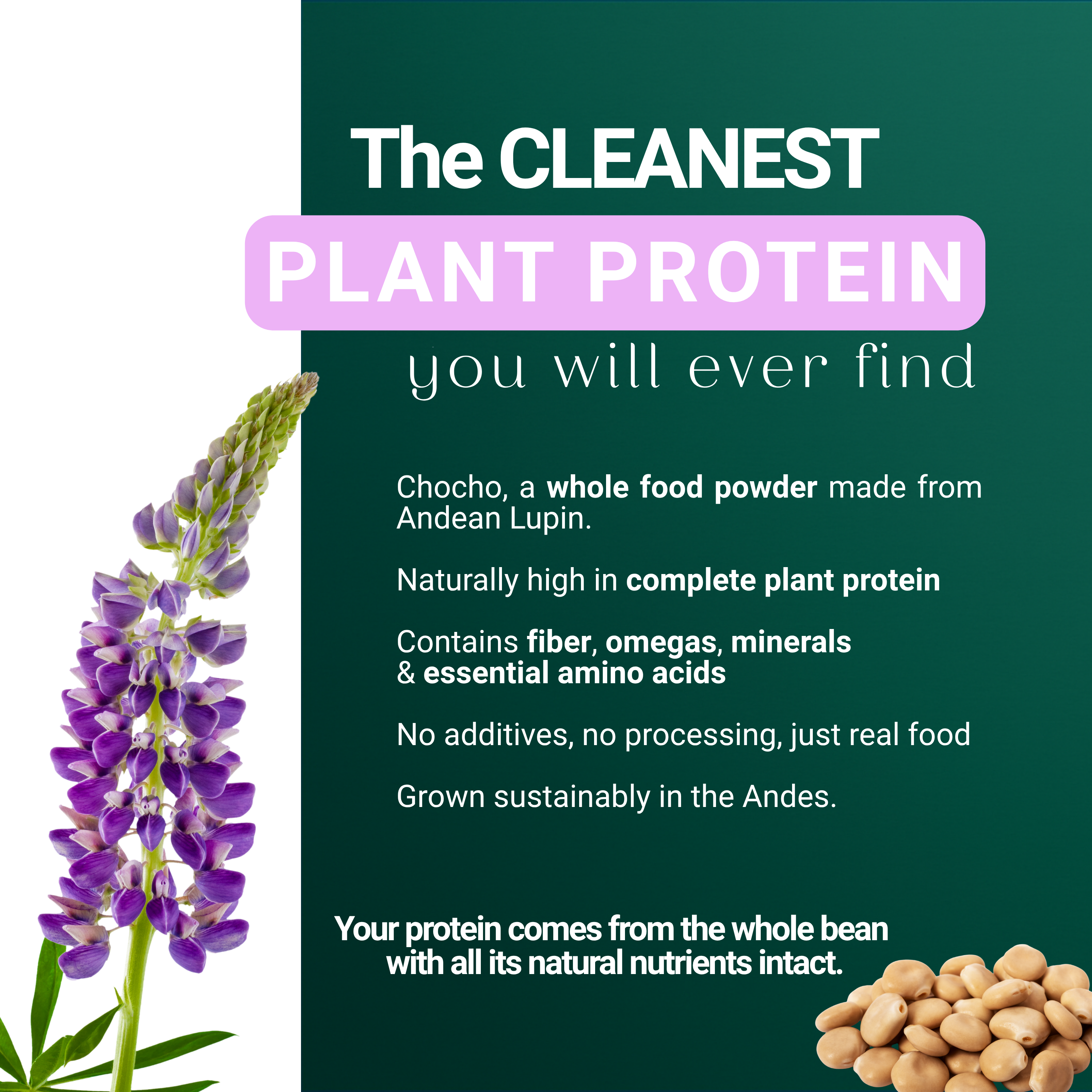 PURE CHOCHO | PLANT-BASED | 25G PROTEIN | 1 INGREDIENT | 1.1 LBS