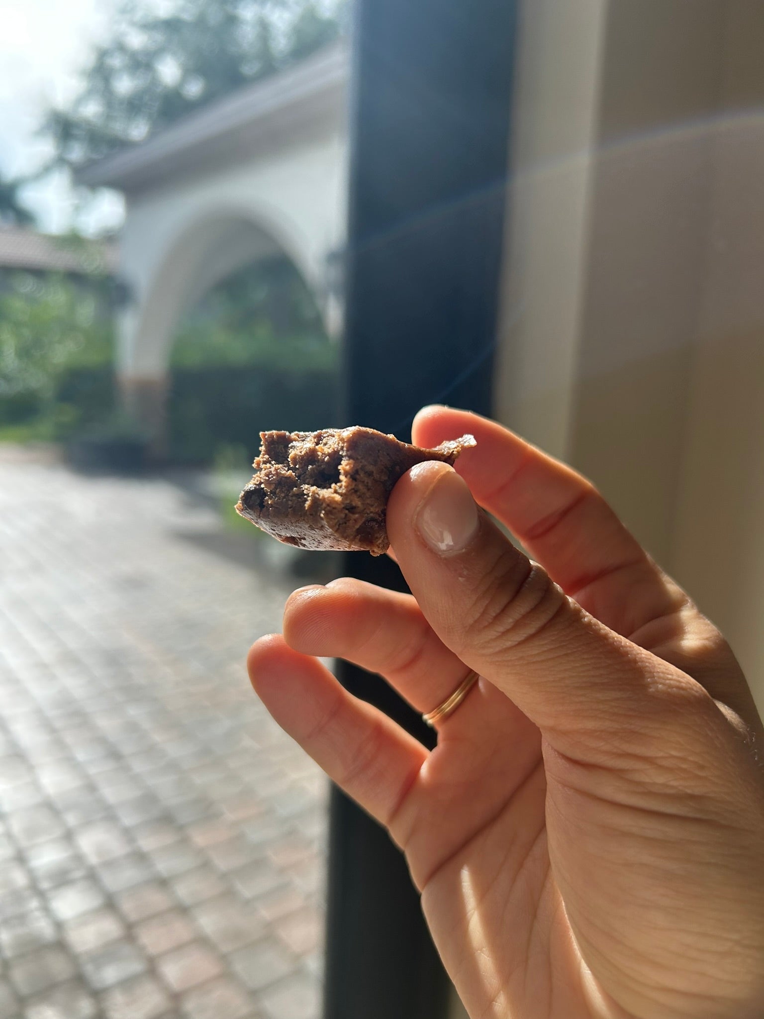 ALMOND CACAO SUPERFOOD BAR | HEALTHY SNACK | PLANT-BASED | 20G PROTEIN