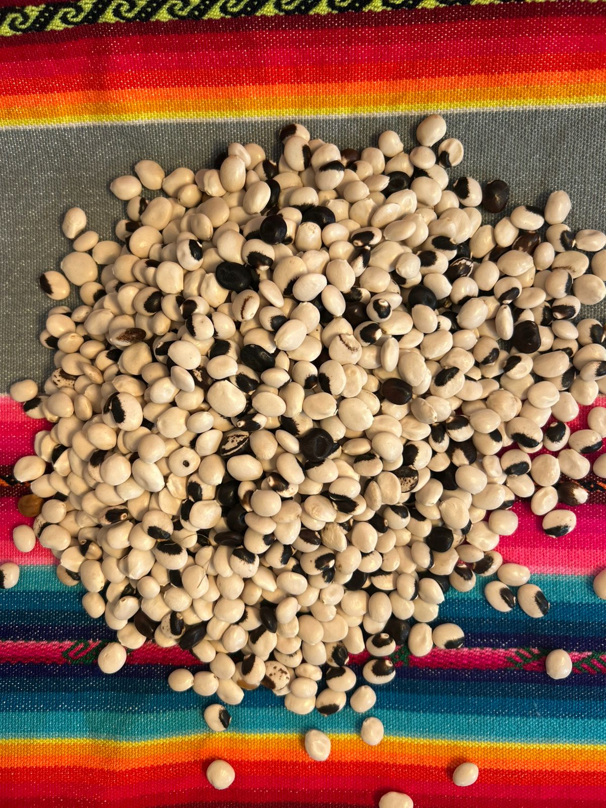 PURE CHOCHO | PLANT-BASED | 25G PROTEIN | 1 INGREDIENT | 1.1 LBS